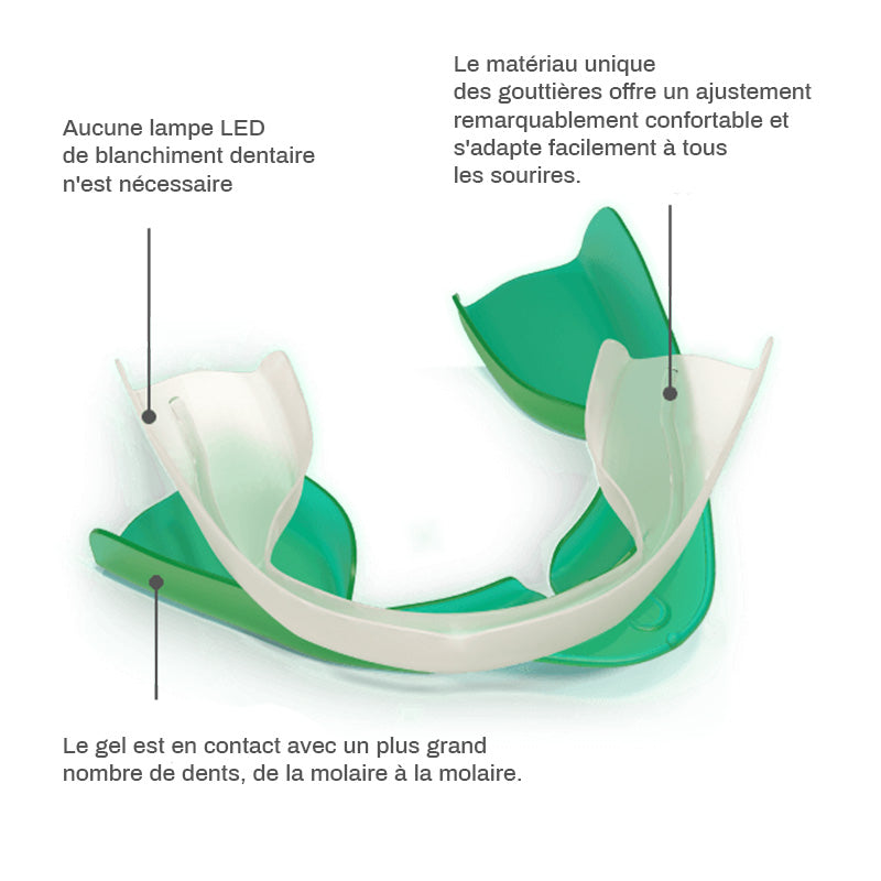 Visualisation 3D des gouttières préremplies Opalescence GO